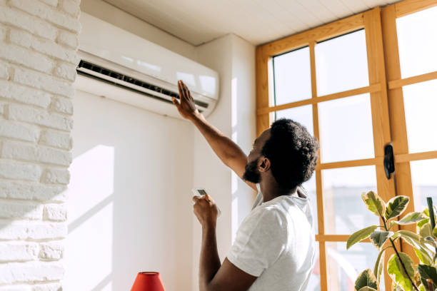 Best HVAC Emergency Services  in Linden, MI